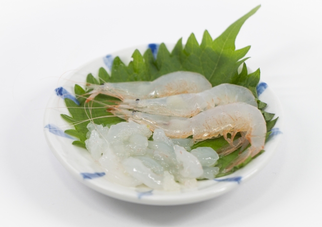 富山湾の白えびの旬はいつ 食べ方やおすすめの通販についても 花凛雑記